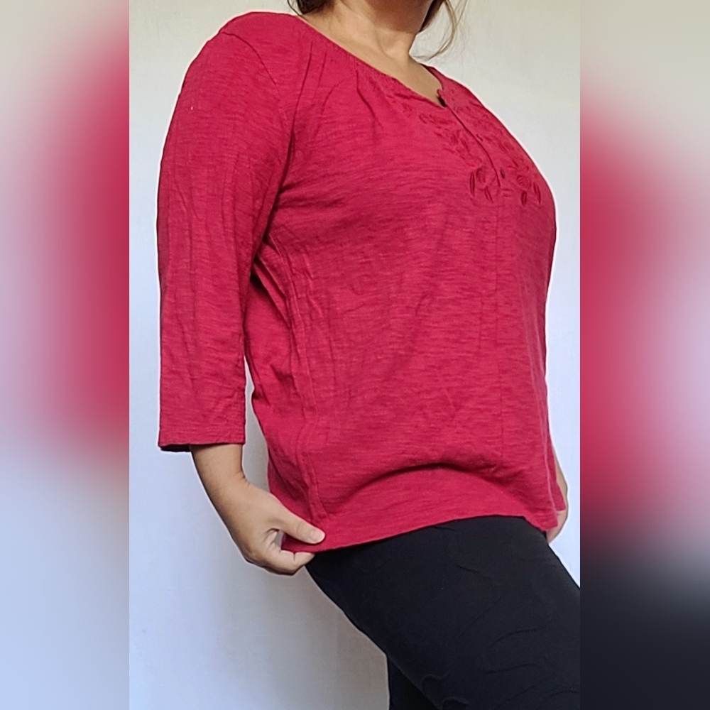 Hasting & Smith Women's 100%Cotton Top Blouse Embroidered V Neck Red Berry 2X